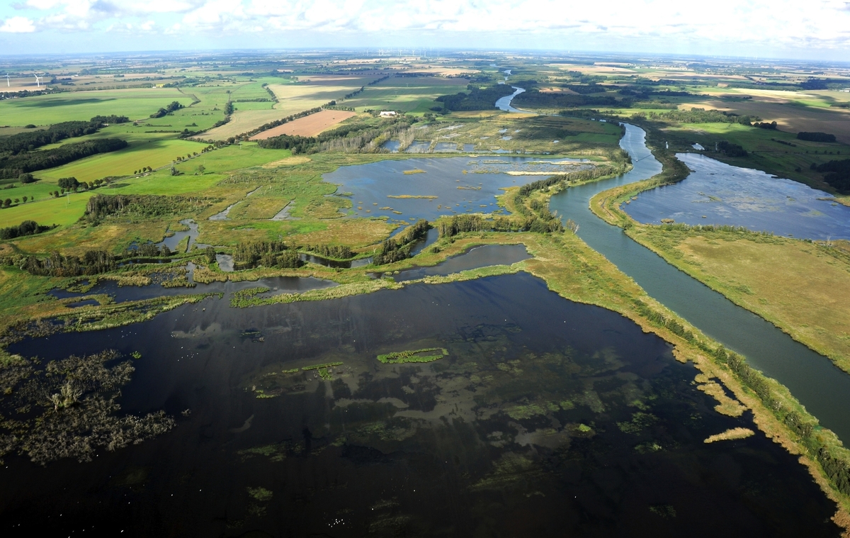 Naturpark Flusslandschaft Peenetal - © fotograupner - stock.adobe.com
