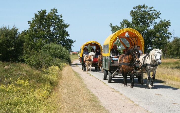 Fahrrad-Flussreise ab Berlin an Oder und Ostsee mit Thurgau Chopin