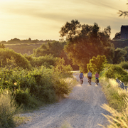 Fahrradtour durch den Nationalpark Unteres Odertal