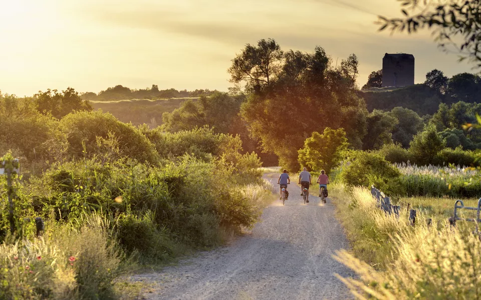 Fahrradtour durch den Nationalpark Unteres Odertal - © Francesco Carovillano