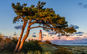 © riebevonsehl - stock.adobe.com