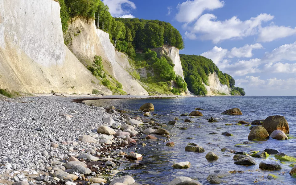 Kreidefelsen, Insel Rügen - © Francesco Carovillano