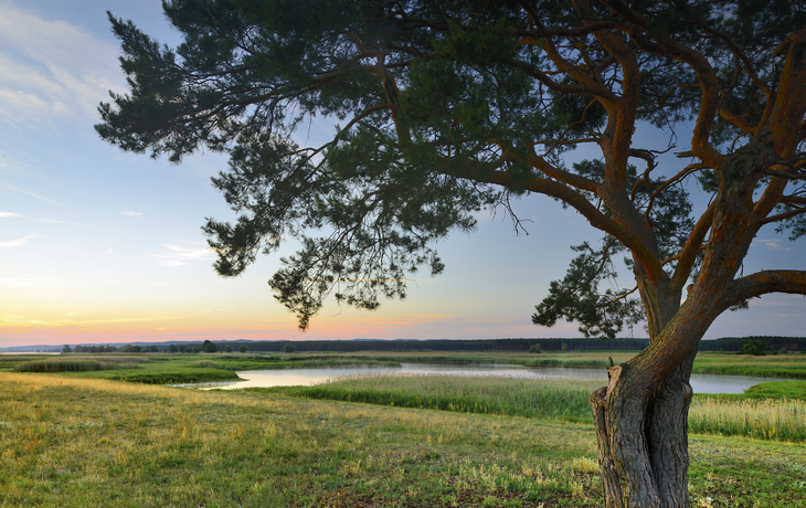 Von Berlin zu den Ostseeinseln Thurgau Chopin