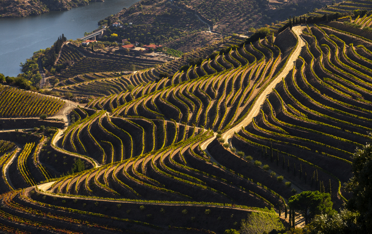 Ab Portos Küste ins schöne Dourotal mit Douro Spirit