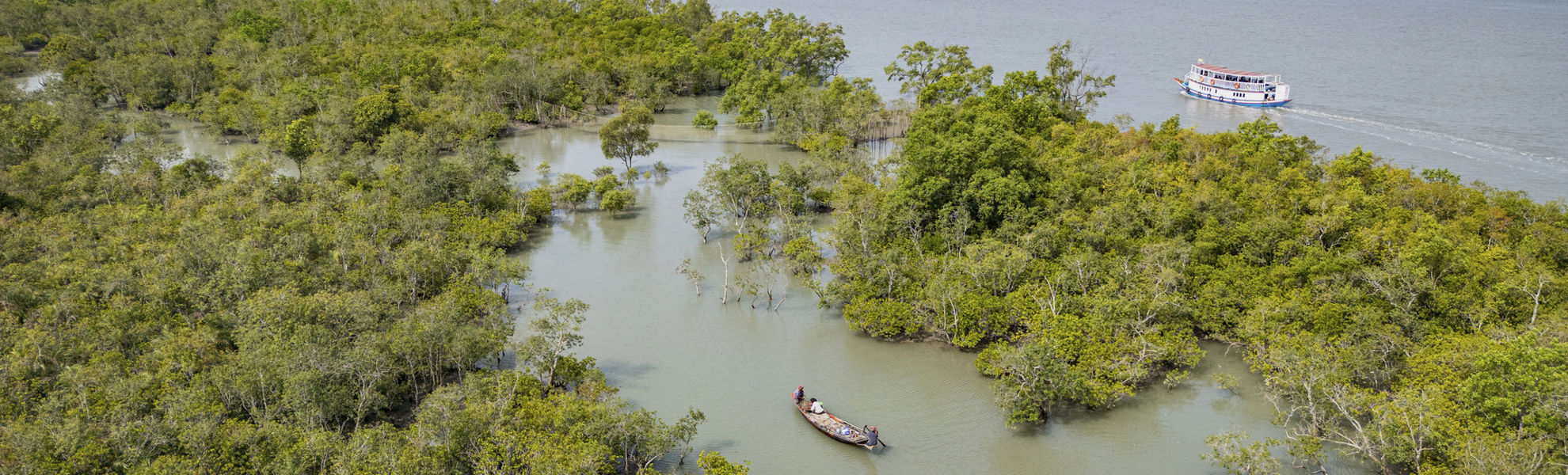 Sundarbans