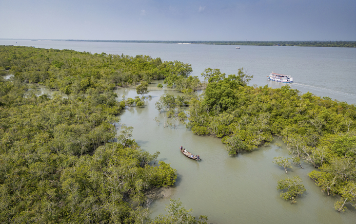 Sundarbans