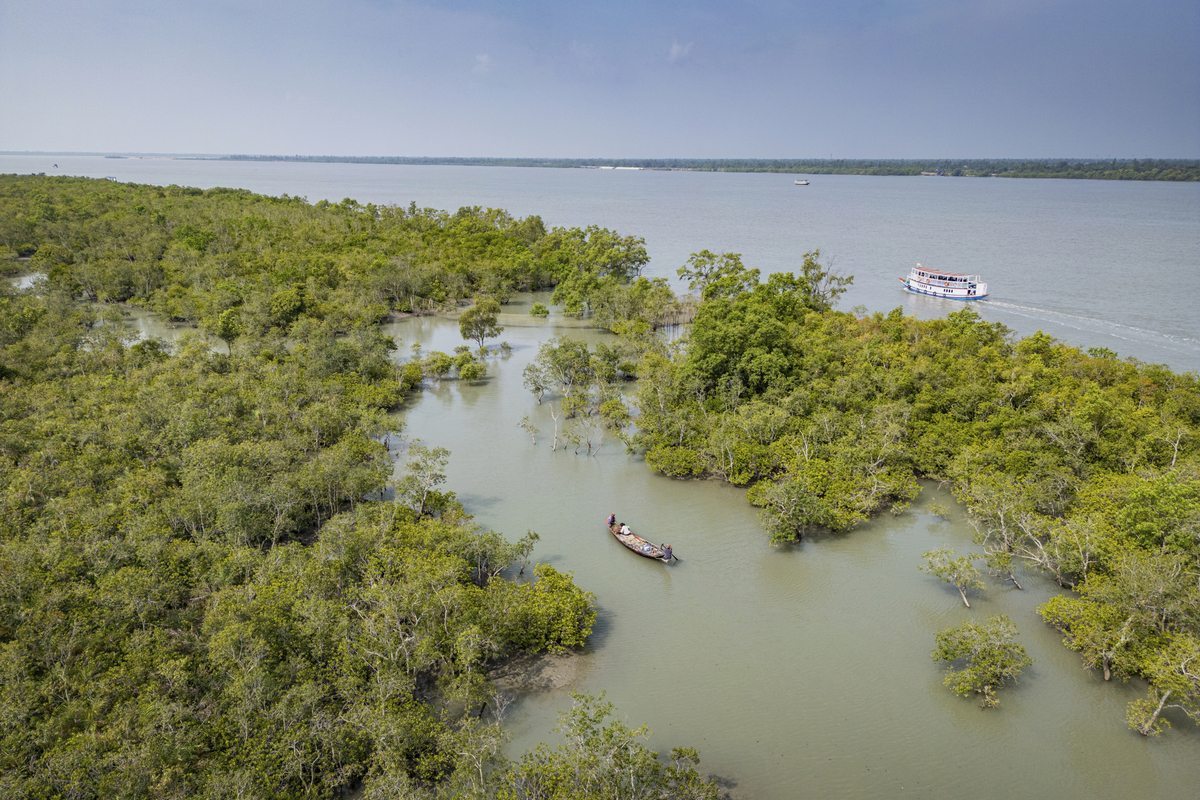 Sundarbans