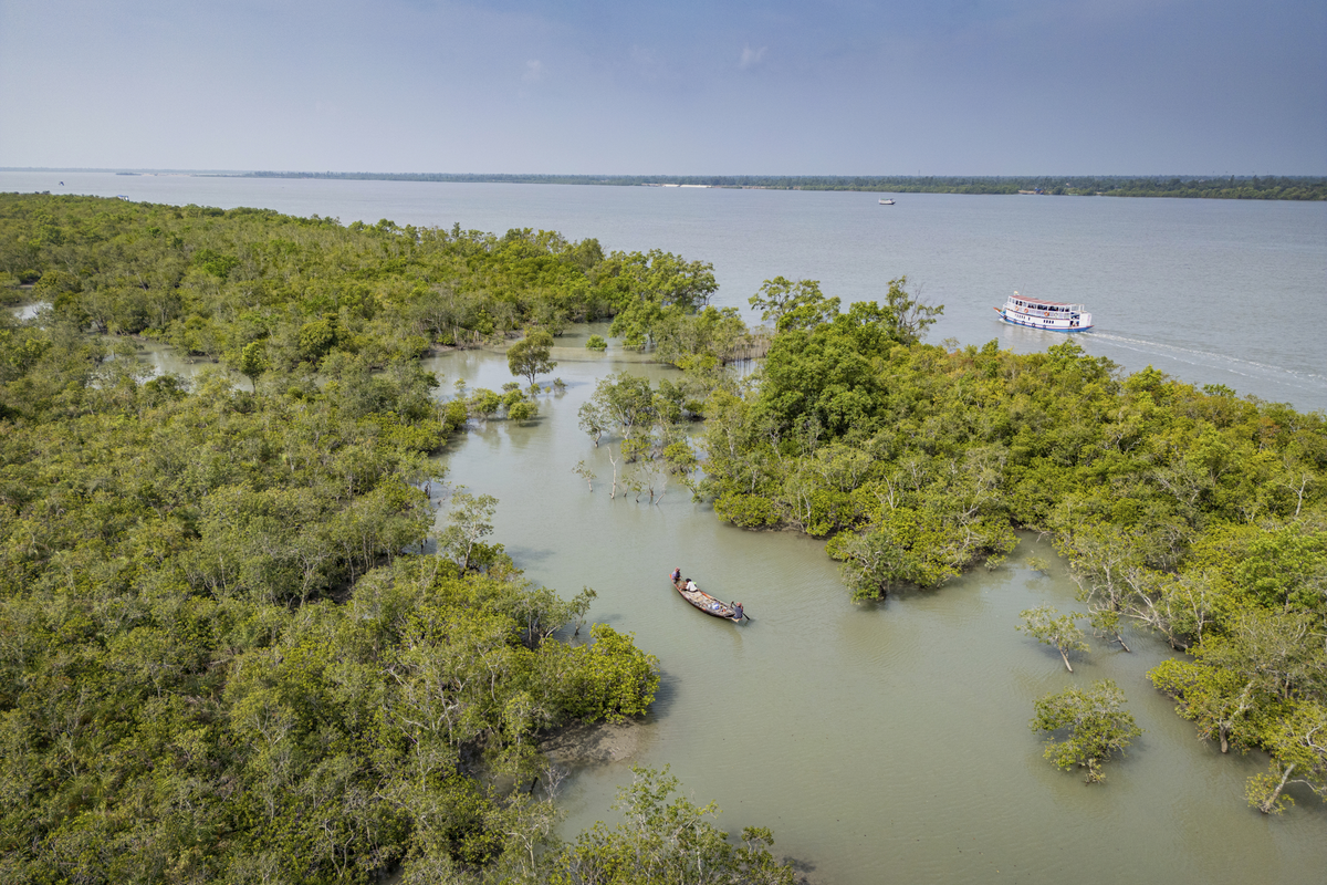 Sundarbans