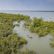 Sundarbans