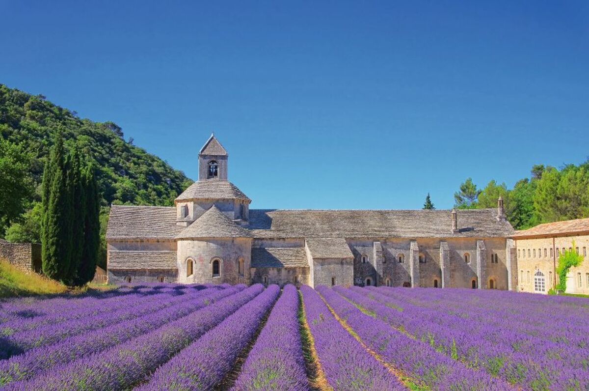 Senanque - © LianeM - Fotolia