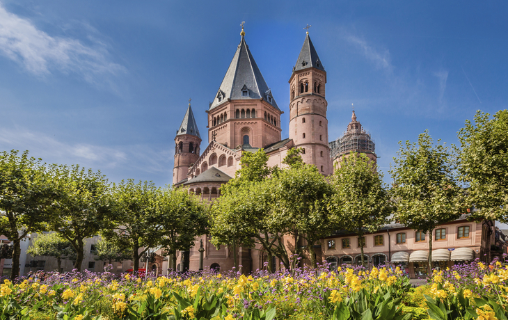 Der Rhein in seiner ganzen Pracht mit Edelweiss