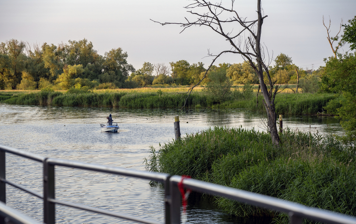 Inselzauber ab Stralsund