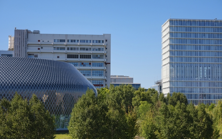 Vom Rheinglanz zur Moselperle Thurgau Avanti