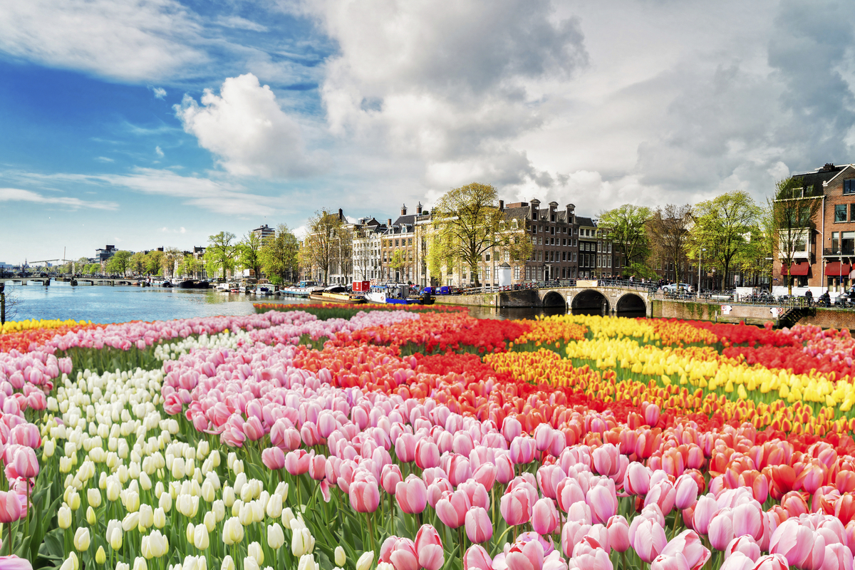 Amderdam - © Getty Images/iStockphoto