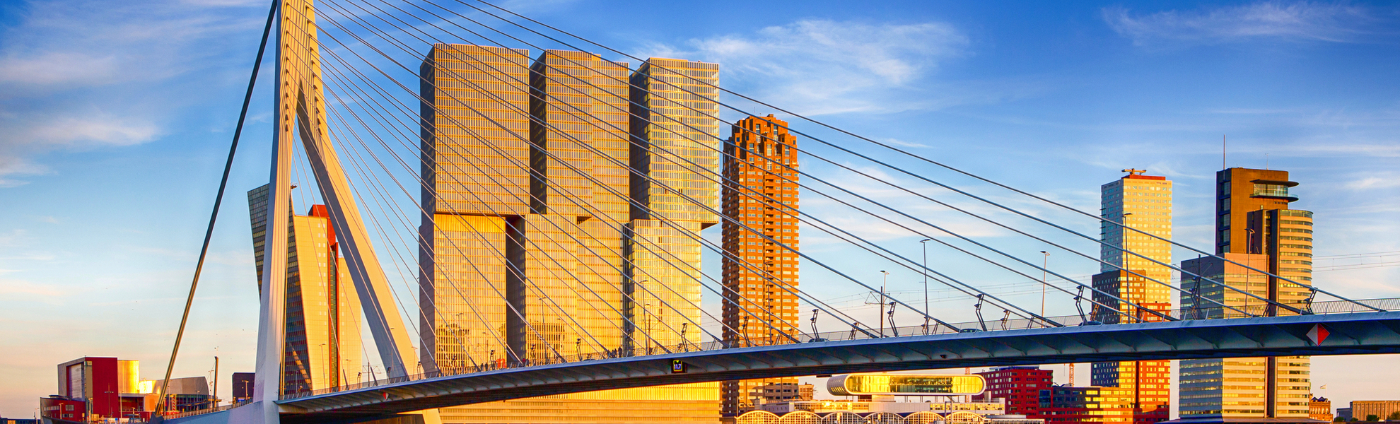 Erasmusbrücke, Rotterdam - © danmorgan12 - stock.adobe.com