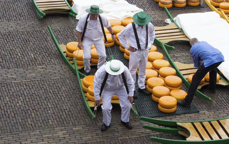 Rheinzauber Holland mit Thurgau Gold