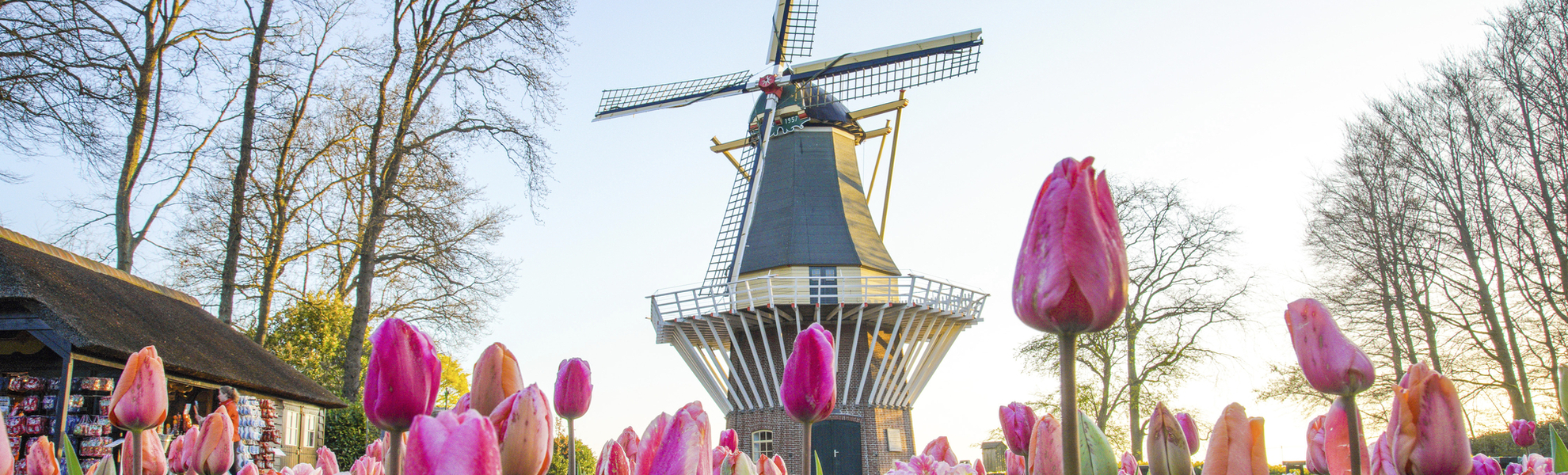 Keukenhof - Keukenhof