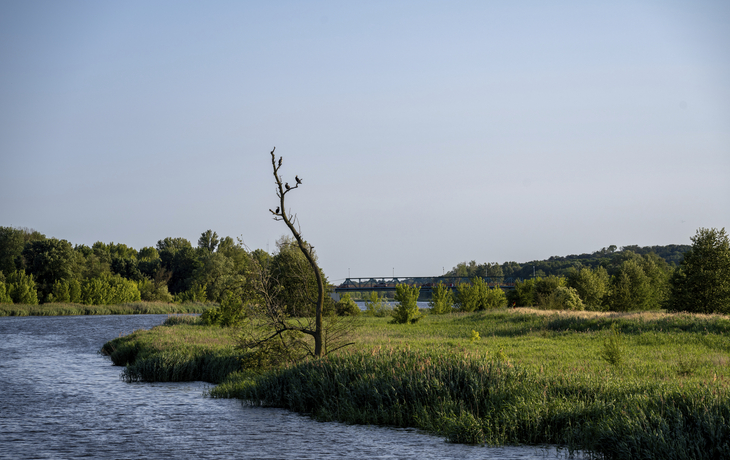 Zwischen Hauptstadt und Meer