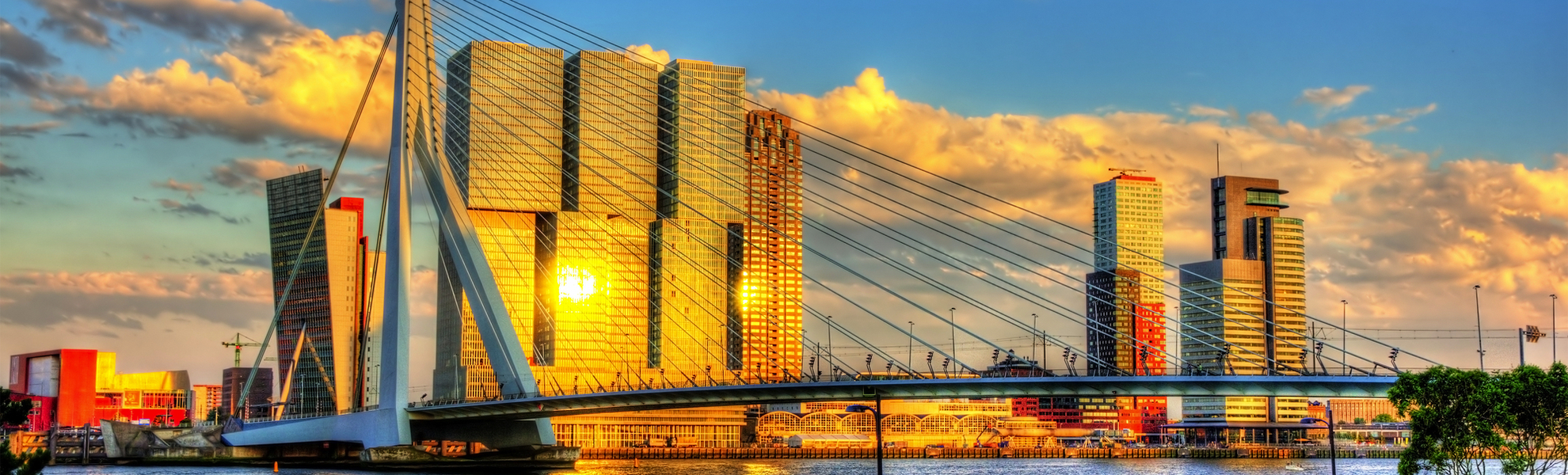 Erasmusbrücke in Rotterdam - © Leonid Andronov - stock.adobe.com