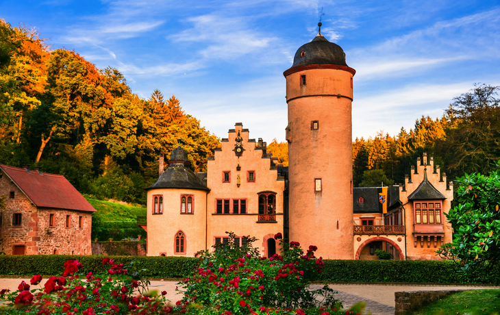 Zeitreise zu Burgen & Kaiserstädten