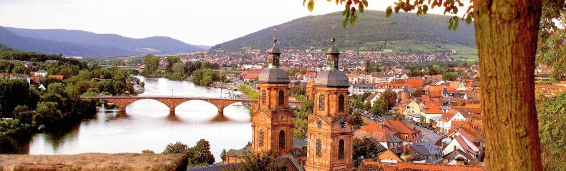 Blick über Miltenberg - © Odenwald Tourismus GmbH