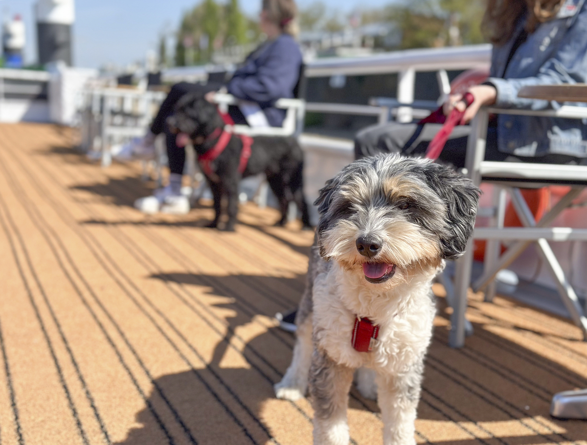 Sonnendeck