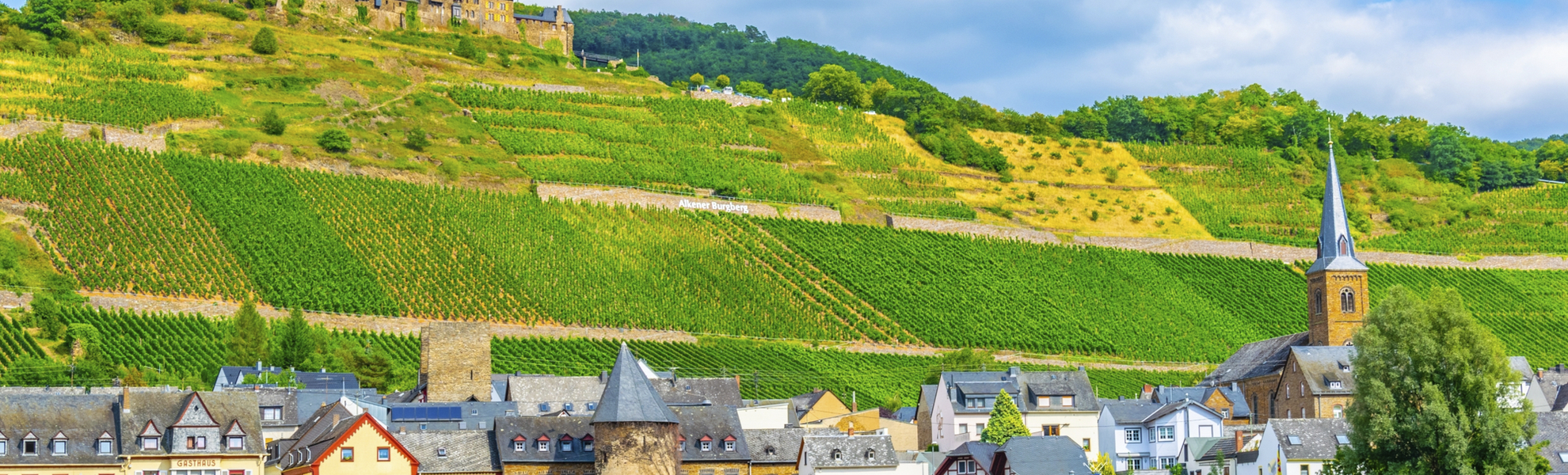 Alken - © Copyright (c) 2019 trabantos/Shutterstock.  No use without permission.