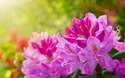 ©Swetlana Wall - stock.adobe.com
