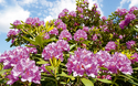 © Johanna Mühlbauer - Fotolia