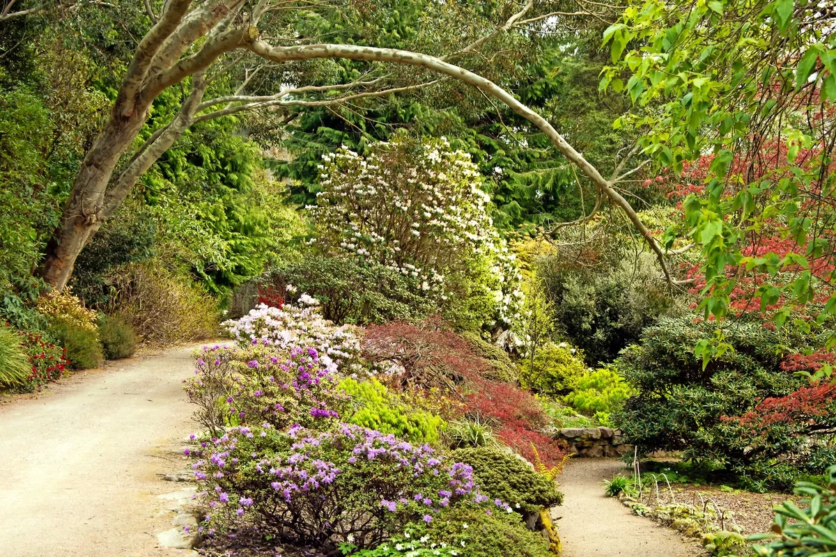 Inverewe Garden - © Siobhan Fraser - stock.adobe.com