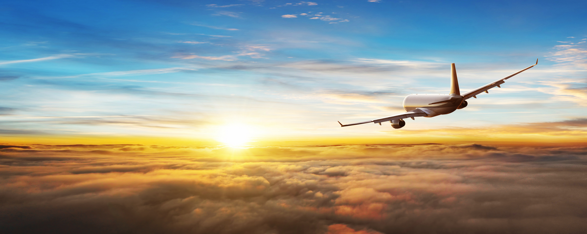 Heimreise mit dem Flieger - © Jag_cz - stock.adobe.com