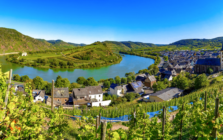 Moselschleife bei Bremm - © Comofoto - stock.adobe.com