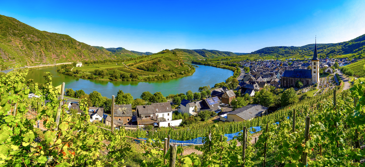 Moselschleife bei Bremm - © Comofoto - stock.adobe.com